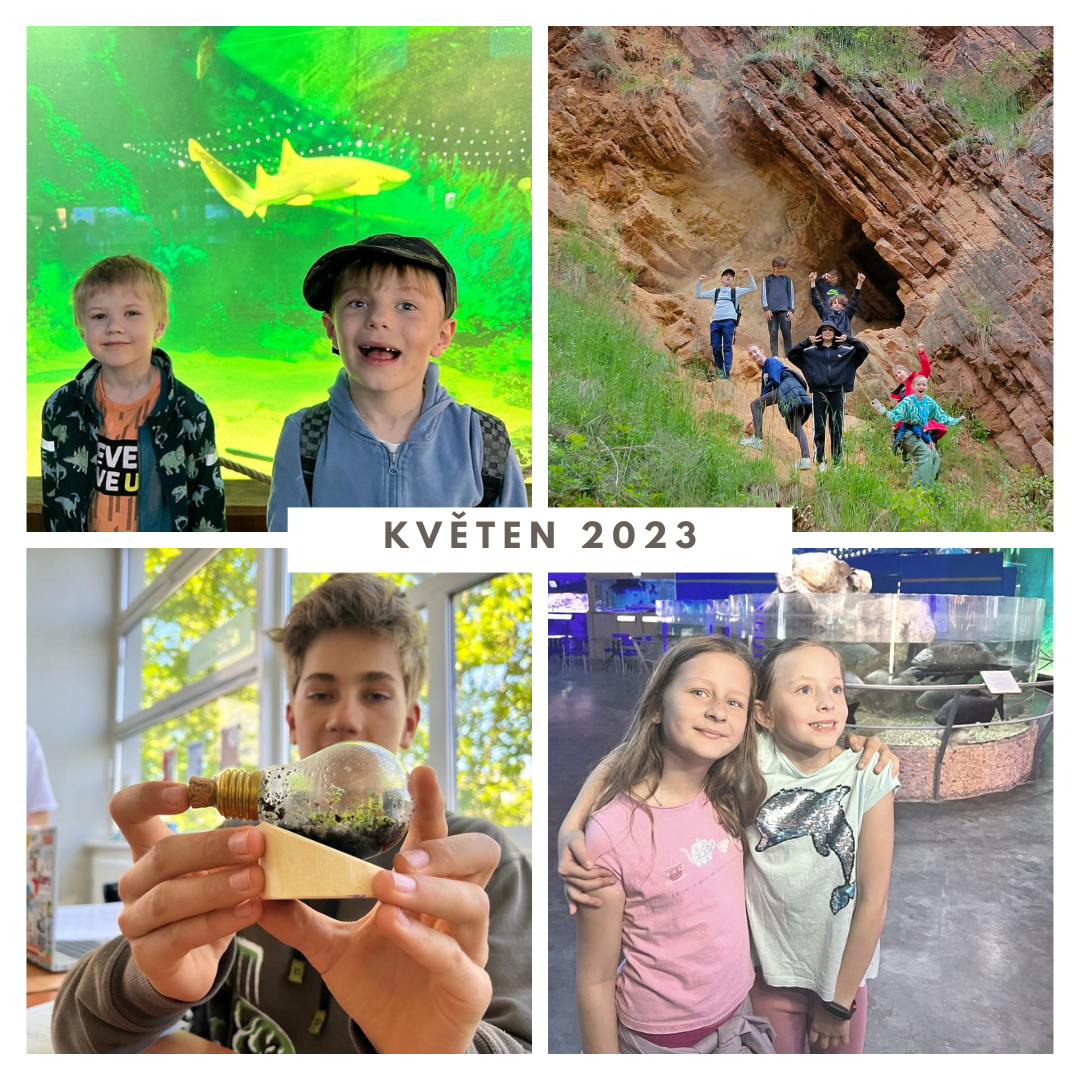 Brown Collage Autumn Mood Instagram Post (6)